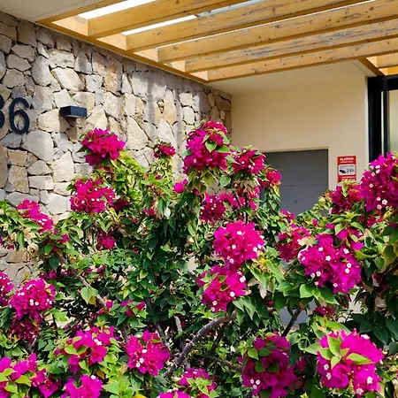 Paradise Luxury Sea View *